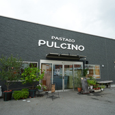 PASTAIO PULCINO パスタイオプルチーノの雰囲気3