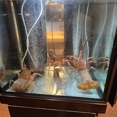 海鮮鉄板 浜海道の雰囲気3