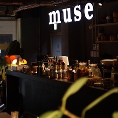 muse ミューズ 心斎橋の画像