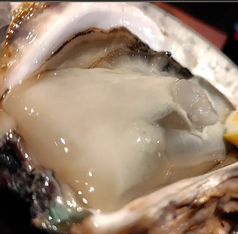 季節ごとに産地を替えて。はなゆの生牡蠣