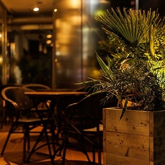 心地よい自然の風を感じるテラス席は、美しい観葉植物に囲まれた癒やしの特別な空間です。喧騒から離れ、まるで異国のカフェにいるような開放的な雰囲気の中で、厳選された美味しい料理やバリスタ特製の特製の香り高いドリンクと共に、心身ともにリラックスする贅沢なひとときを心ゆくまでご堪能ください。