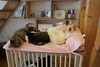 猫カフェてんてんの写真