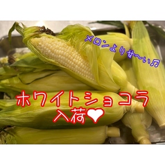 地魚 活魚 炉端焼き 魚次郎のコース写真