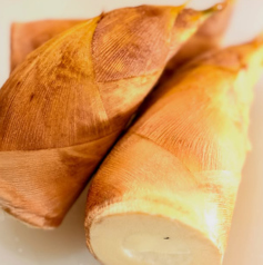 【旬の食材を使用】