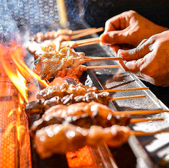 またたびのコース写真