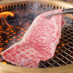 特選焼きしゃぶ