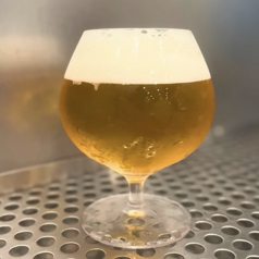 (2) SHIZUOKA COLD IPA （Shizuoka Brewing/静岡・静岡市）