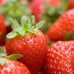 【ゴロゴロフルーツスタイル】 丸ごと苺のあまおう