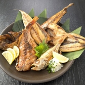 【迷ったらコレ】ひもの屋のおすすめ盛りは、新鮮な干物をいろいろ楽しめる人気メニューです。炭火で香ばしく焼き上げた旨味がたまらない！さらに、刺身やお肉料理などの逸品も勢ぞろい。どれを選んでも間違いなしのラインナップです。