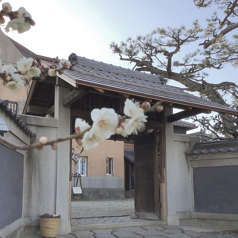 当施設の庭園に梅の花が咲き、春めいた季節になってきました。是非お越しください。