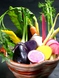 ≪食材へのこだわり≫無農薬・減農薬野菜を使用