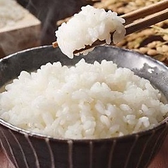 本日の白米ご飯