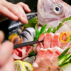 博多もつ鍋と牛タンしゃぶしゃぶ個室居酒屋　博多灯　すすきの駅前店の特集写真