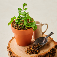 菜園風ポテトサラダ