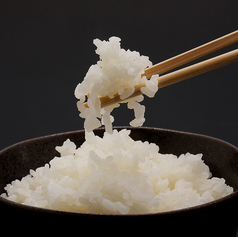 ライス(大)