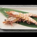 料理メニュー写真&nbsp;有頭大えびの塩焼き