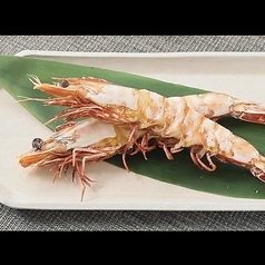 有頭大えびの塩焼き