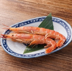 赤エビ(2尾)