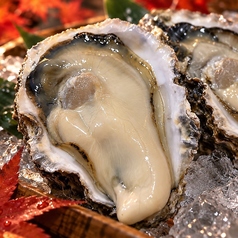 生牡蠣