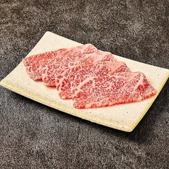 上赤身