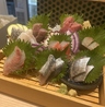 魚と酒 はなたれ 東戸塚店のおすすめポイント3