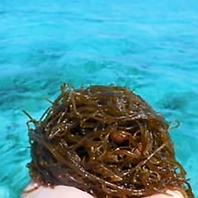 新鮮な食材を使用した幅広いメニューをご用意！