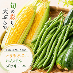 【7/1(水)~8/31(月)】夏野菜盛合せ