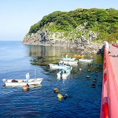【雄島の風景3】この島近辺で、海女さん達が、「あわび」や「ウニ」などの貝を採っています！
