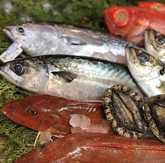 その他、その日入荷のおすすめ鮮魚にぎり寿司多数ございます