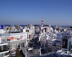 雪園 横須賀店のコース写真