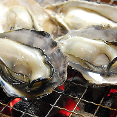 活 焼き牡蠣盛り