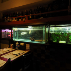 4名　水槽にも設置しており、お食事しながらお魚の姿を見ることができます。最高リラックスタイムです。スタイリッシュな店内を間接照明がやさしく照らします。貸切予約もOK♪プチパーティーやデートにぜひご利用下さいませ。