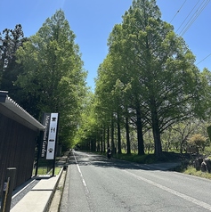 メタセコイアGARDENの写真
