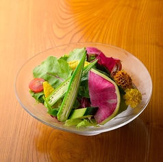 彩り野菜サラダ