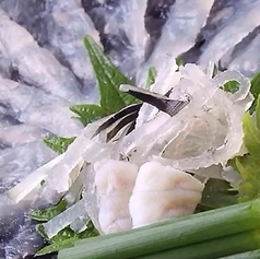 和食 やまどりのコース写真