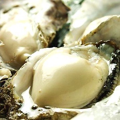 北海道まるごとダイニング うまいっしょ シンサツBLOCK店の写真3