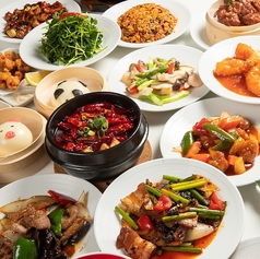 種類豊富な本格四川料理がお楽しみ頂けます！