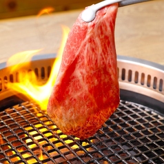 焼肉ぜっとKITAMACHI 豊田市駅の特集写真