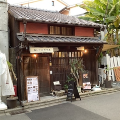 ねことバナナの木の写真