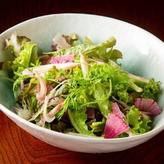 糸島野菜の彩サラダ
