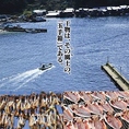 【漁師の手選別で鮮度を保つ】美味しい干物をお届けするため、ひものやでは生産者と配送業者が連携し品質管理に注力。釣り上げた魚は港に着くとすぐに漁師が手で選別。機械よりも手作業の方が鮮度を守れます。鮮度を保った魚は天日干しで旨みを凝縮し、こだわりの配送方法で店舗へ直送しています。