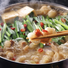 札幌駅北口酒場 めしと純米のコース写真