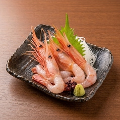 甘海老の刺身
