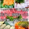 広島牡蠣と鉄板焼き 一娯一笑 いちごいちえの画像