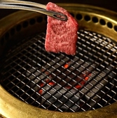 大切に育てられた最高品質の「あぐー豚（畜産）」をはじめ、厳選された「石垣牛」など、自慢のブランド肉を網焼きでジューシーに楽しめます。あぐー豚特有の極上の甘みととろける脂身、和牛の濃厚な旨味を網の上でギュッと閉じ込め、最高の状態でご堪能いただけます。肉好きのゲストも大満足間違いなしの本格焼肉です