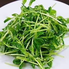 豆苗麺