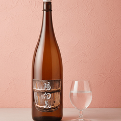 陽向氣 (ひたむき)