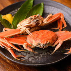 旬彩小料理 神宮のコース写真