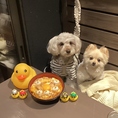 ペットと一緒に食事が楽しめるテラス席が新登場いたしました。お散歩のついでや休日のお出かけなど、様々なシーンでご活用ください。