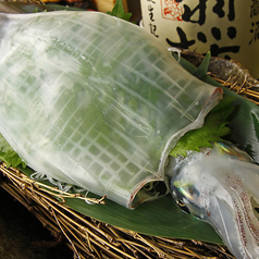 すし 魚游 伊勢佐木モール店のおすすめ料理1